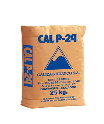CAL P-24
