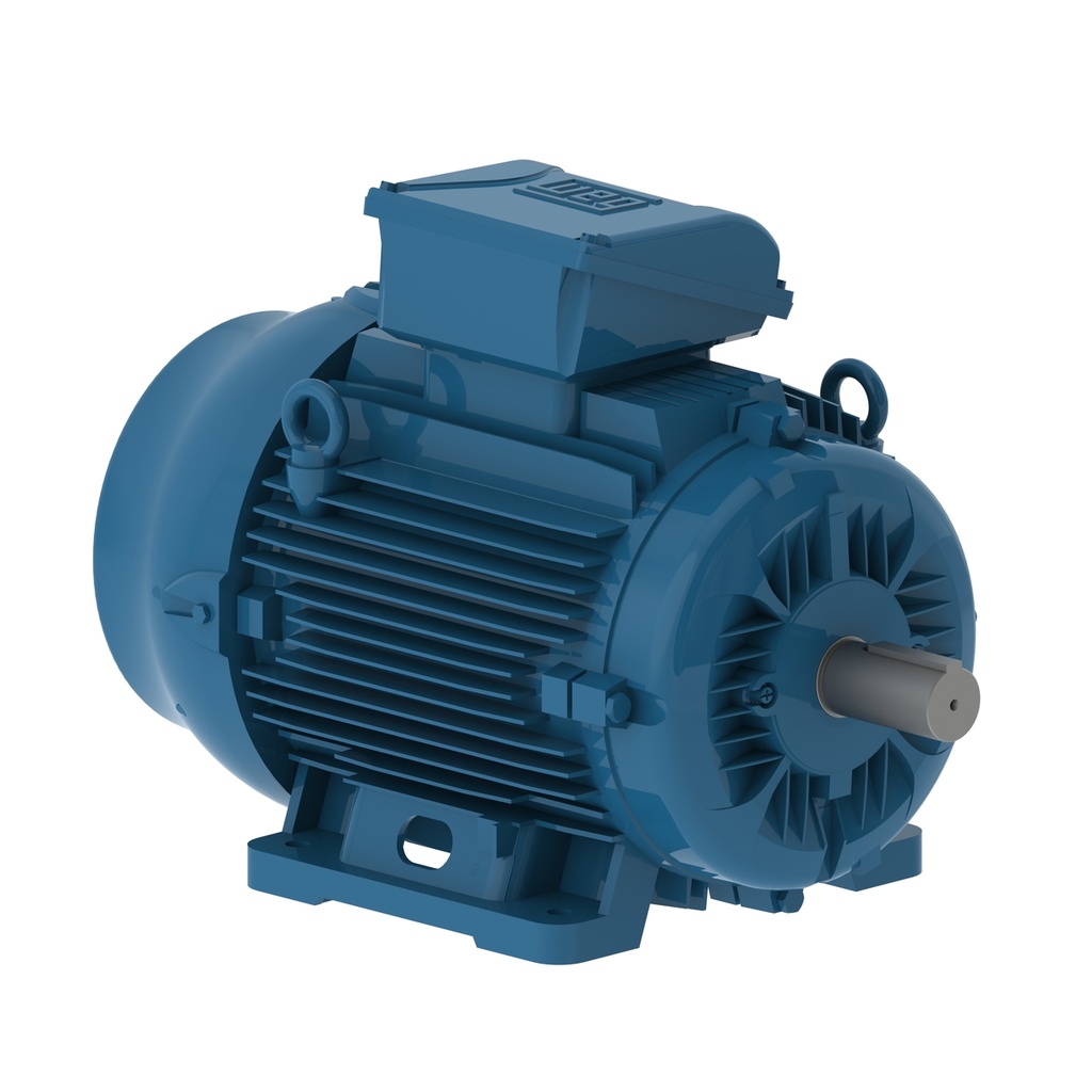 MOTOR TRIFASICO 4P IE2 20 HP FR 160 WEG